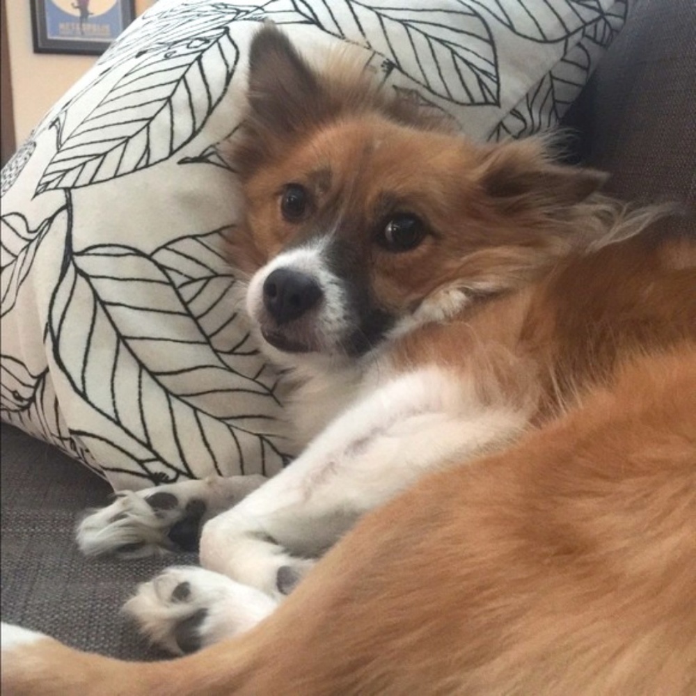 Meet your Posher, Yulia